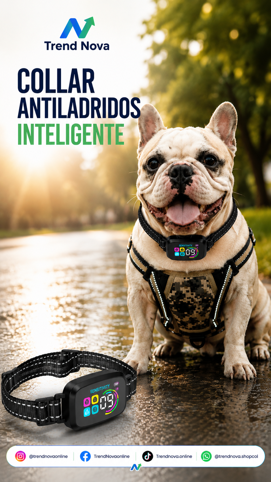 Collar Antiladridos Inteligente | Recargable, Impermeable IP67, Vibración y Modo Buzzer