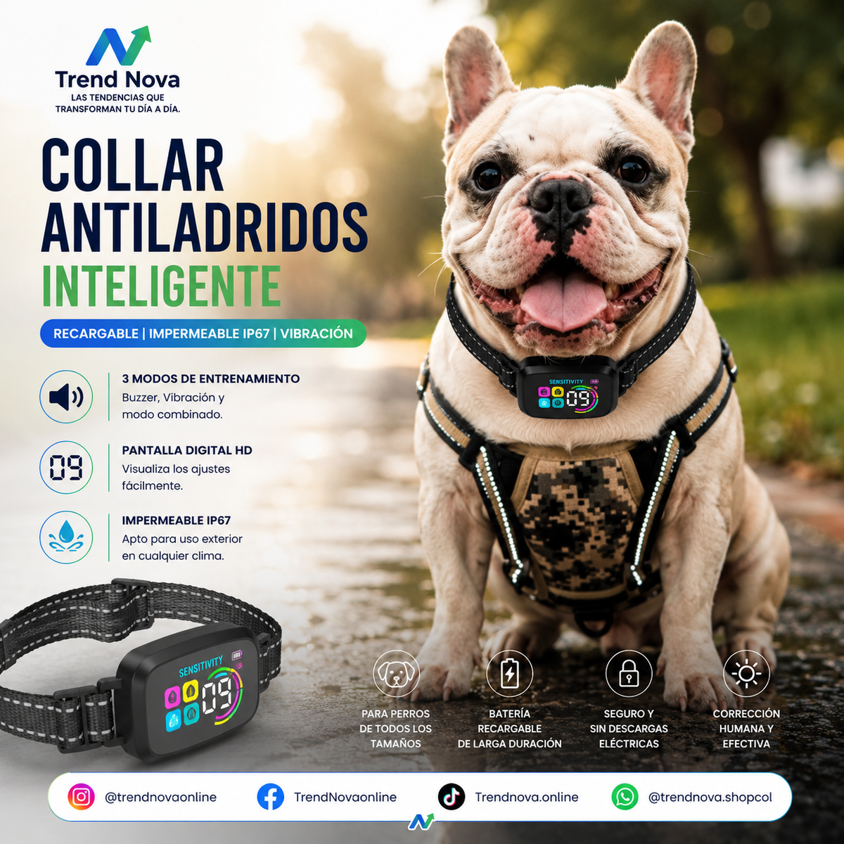 Collar Antiladridos Inteligente | Recargable, Impermeable IP67, Vibración y Modo Buzzer