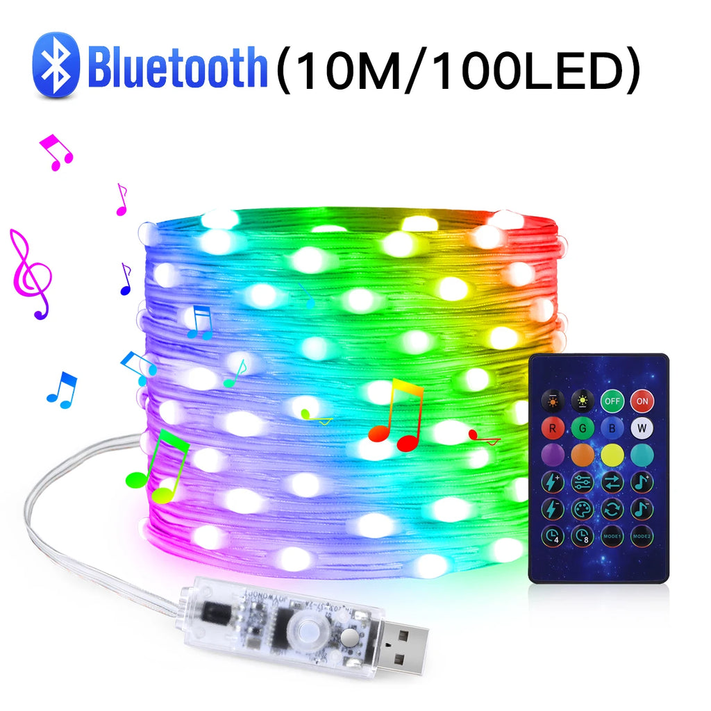 Luces LED RGBIC Dreamcolor Bluetooth – WS2812B USB IP65 Waterproof 5M-20M