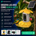 Comedero Inteligente para Aves con Cámara Solar e IA